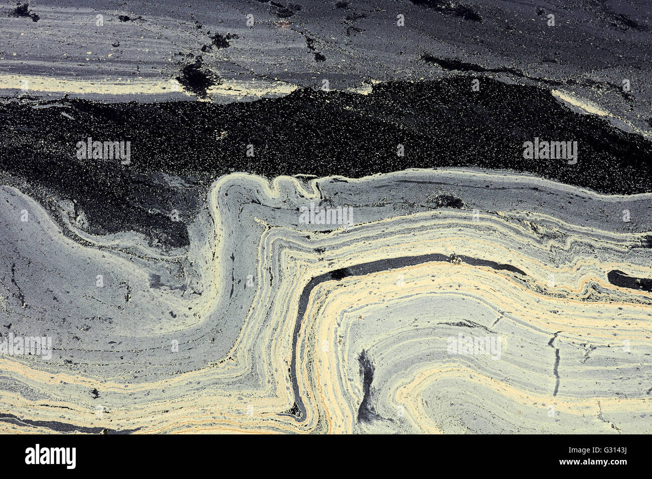 Gelb-Kiefer Pollen schwimmt auf Wasser, Finnland Stockfoto