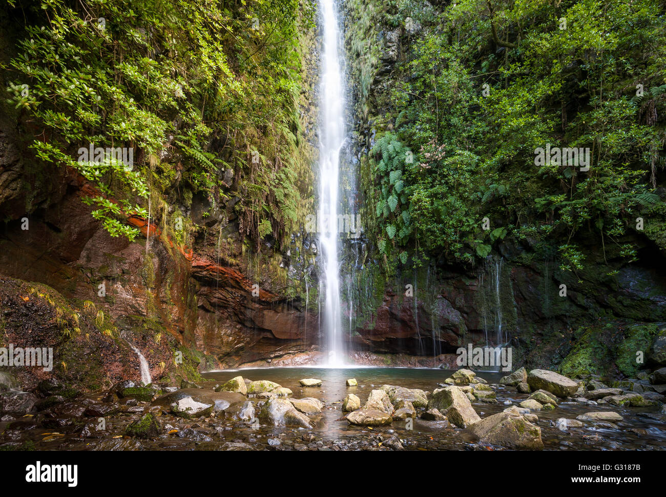 Wasserfall bei Levada Wanderung 25 Brunnen, Insel Madeira Stockfoto