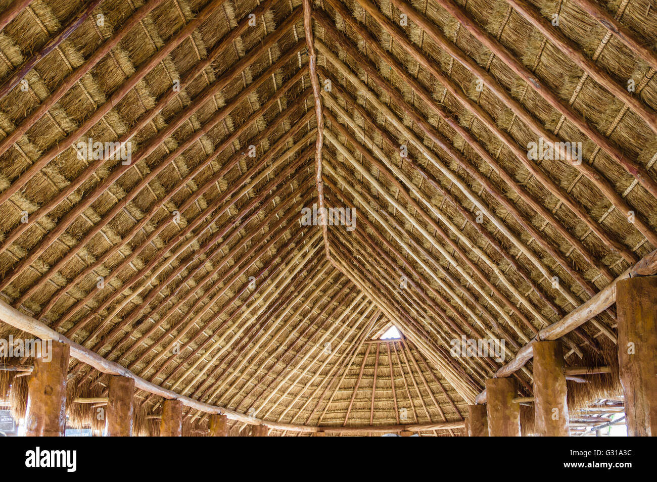 Detail das Strohdach im Besucherzentrum Costa Maya.  Costa Maya, Mexiko Stockfoto