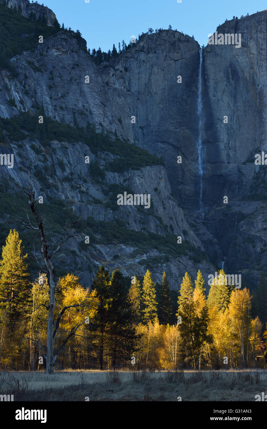 Verlieben Sie sich in Yosemite NP, Mariposa CA Stockfoto