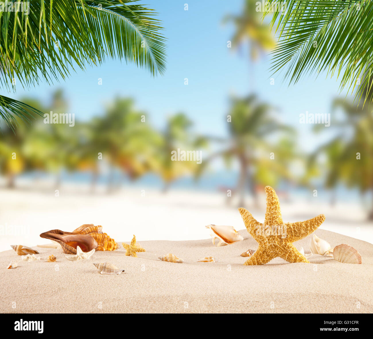 Tropischer Strand mit verschiedenen Muscheln im Sand, Exemplar für Text. Konzept von Sommer-Entspannung Stockfoto
