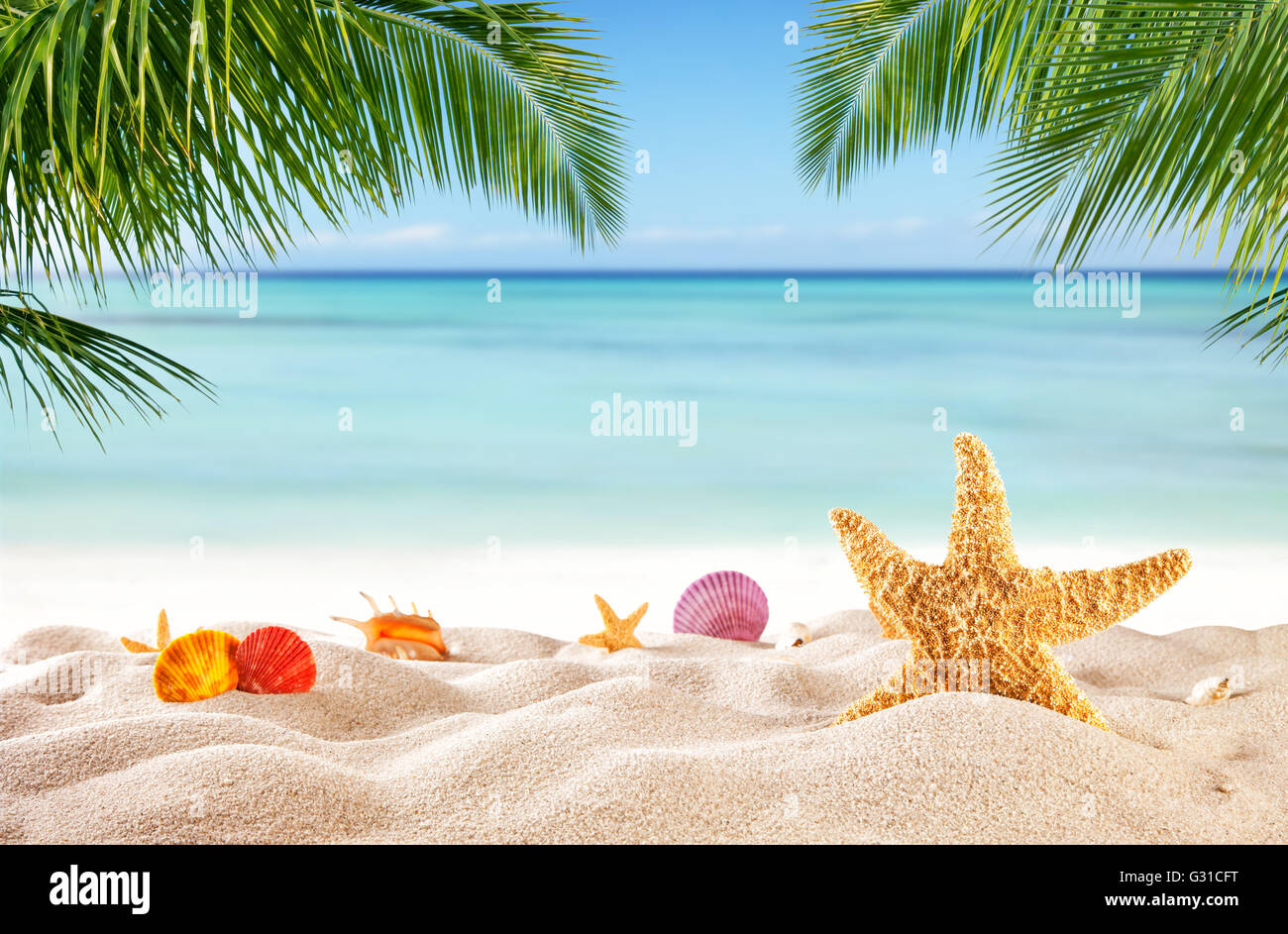 Tropischer Strand mit verschiedenen Muscheln im Sand, Exemplar für Text. Konzept von Sommer-Entspannung Stockfoto