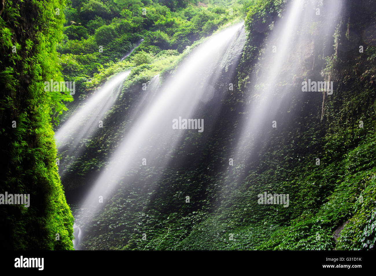 Madakaripura Wasserfall-Deep Forest Wasserfall in Ost-Java, Indonesien Stockfoto