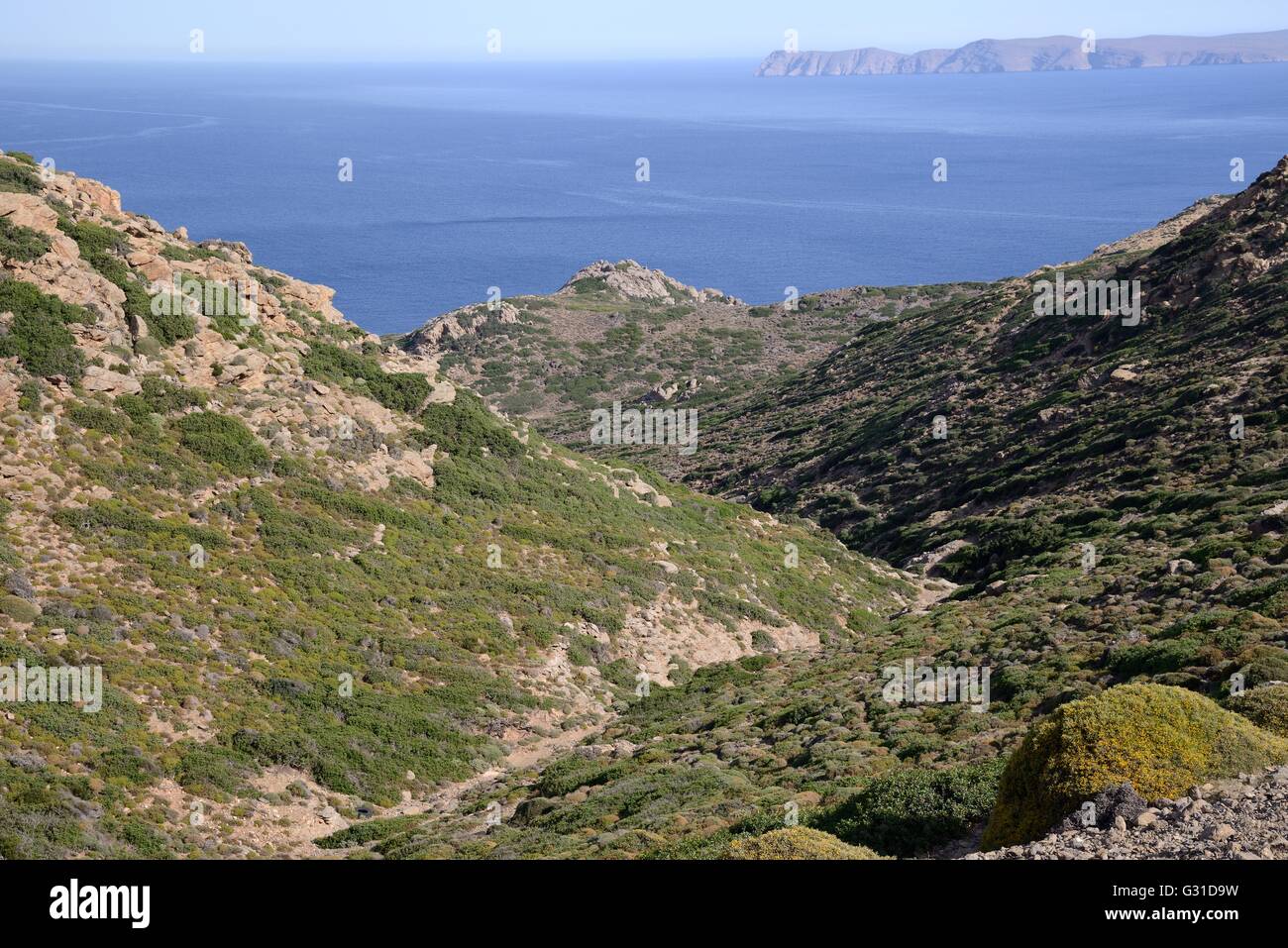 Stream Bett Rinne läuft durch Kalkstein Hügel bedeckt mit niedrig wachsenden Phrygana ausgetrocknet / Garrigue Peeling, Crete Stockfoto