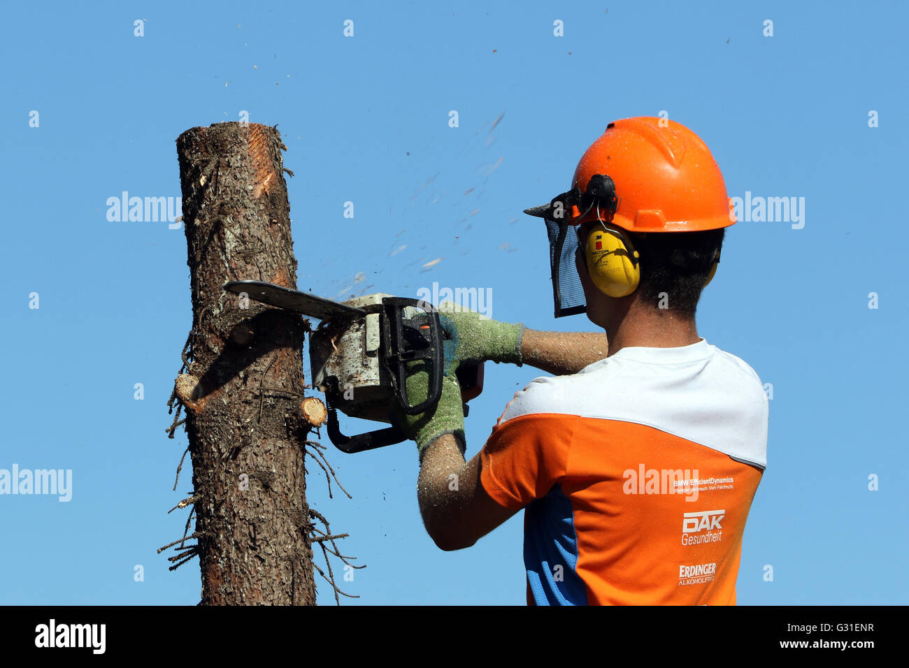 Magdeburg, Deutschland, teilt Holzfäller einen Baumstamm Stockfoto