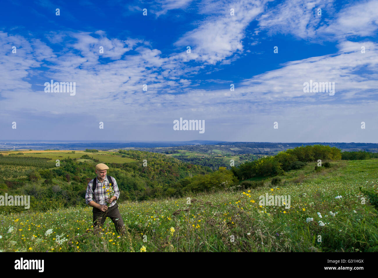 Senior Woman im Feld an einem sonnigen Tag Stockfoto