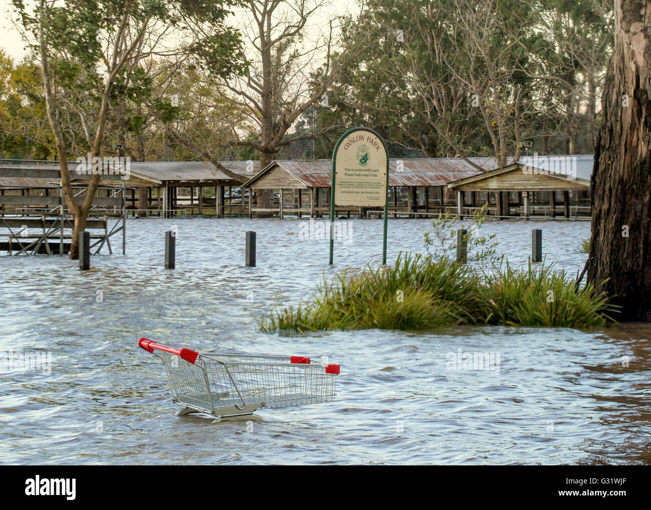 Camden, New-South.Wales, Australien. 6. Juni 2016. Onslow-Park in der Nähe von Camden NSW überschwemmt, nach heftigen Credit Regenfällen: Stonemeadow Fotografie/Alamy Live News Stockfoto