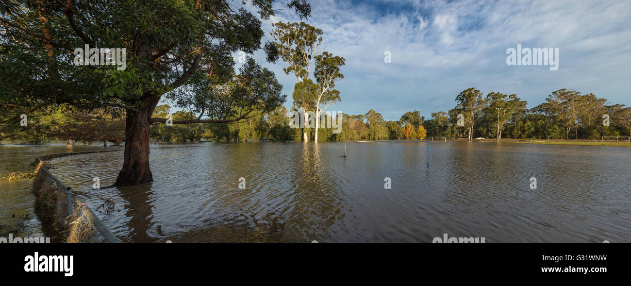 Camden, New-South.Wales, Australien. 6. Juni 2016. Belgenny Feld überschwemmt, nach heftigen Credit Regenfällen: Stonemeadow Fotografie/Alamy Live News Stockfoto