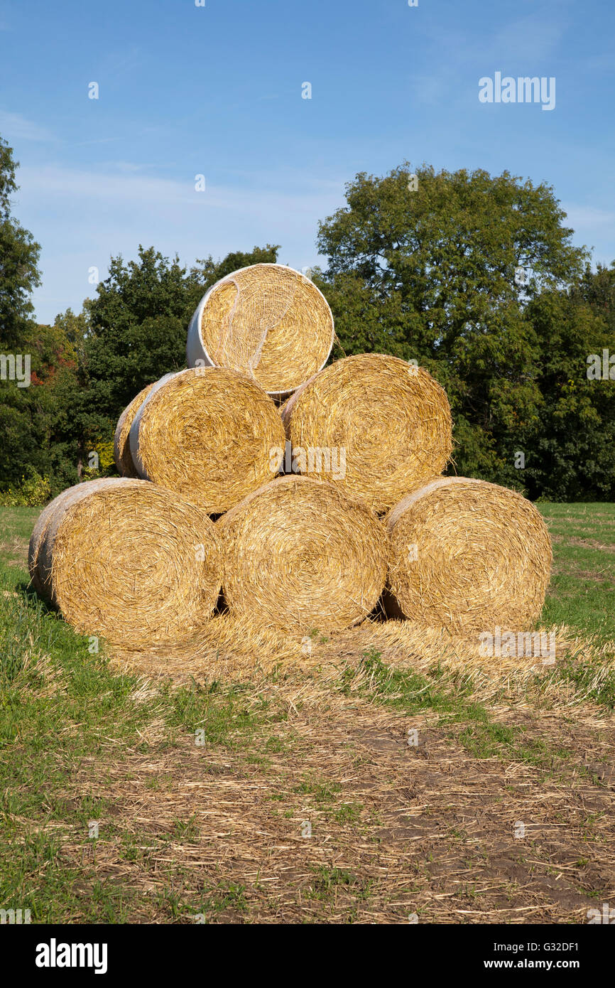 Strohballen auf einem Feld Kamen, Ruhrgebiet, North Rhine-Westphalia, PublicGround gestapelt Stockfoto