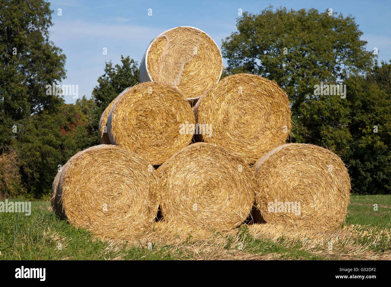 Strohballen auf einem Feld Kamen, Ruhrgebiet, North Rhine-Westphalia, PublicGround gestapelt Stockfoto
