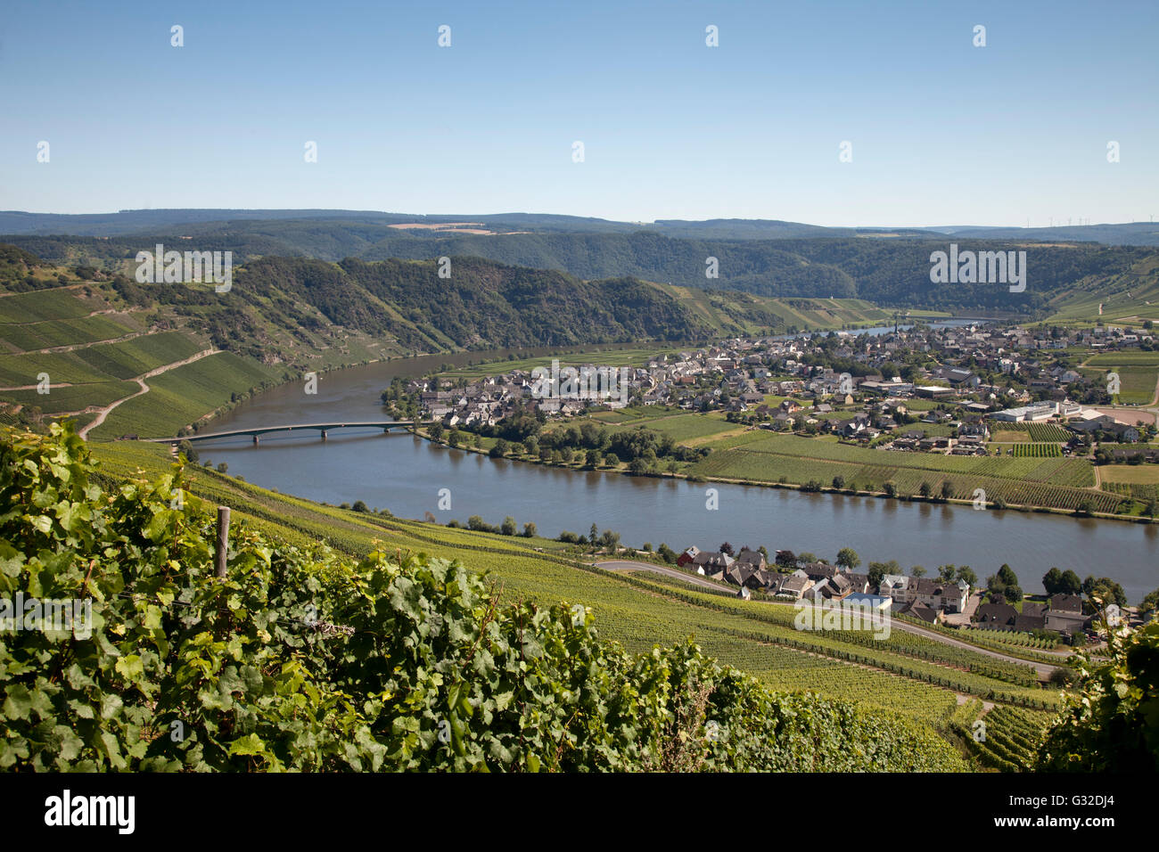 Mosel-Tal in der Nähe von Piesport, Mosel, Rheinland-Pfalz, PublicGround Stockfoto