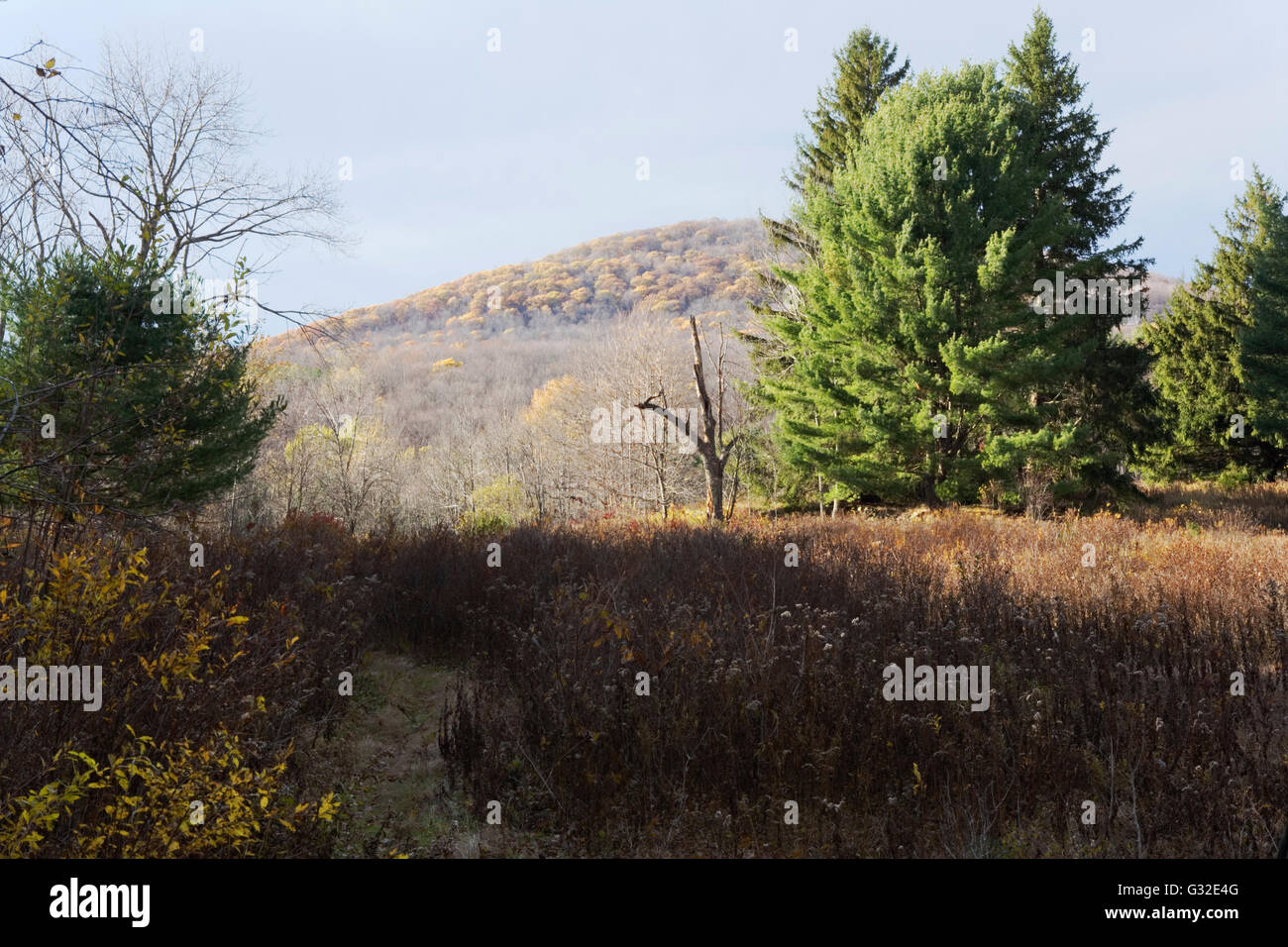 Ein Naturgebiet In New York State Landschaft Stockfotos Und Bilder Kaufen Alamy