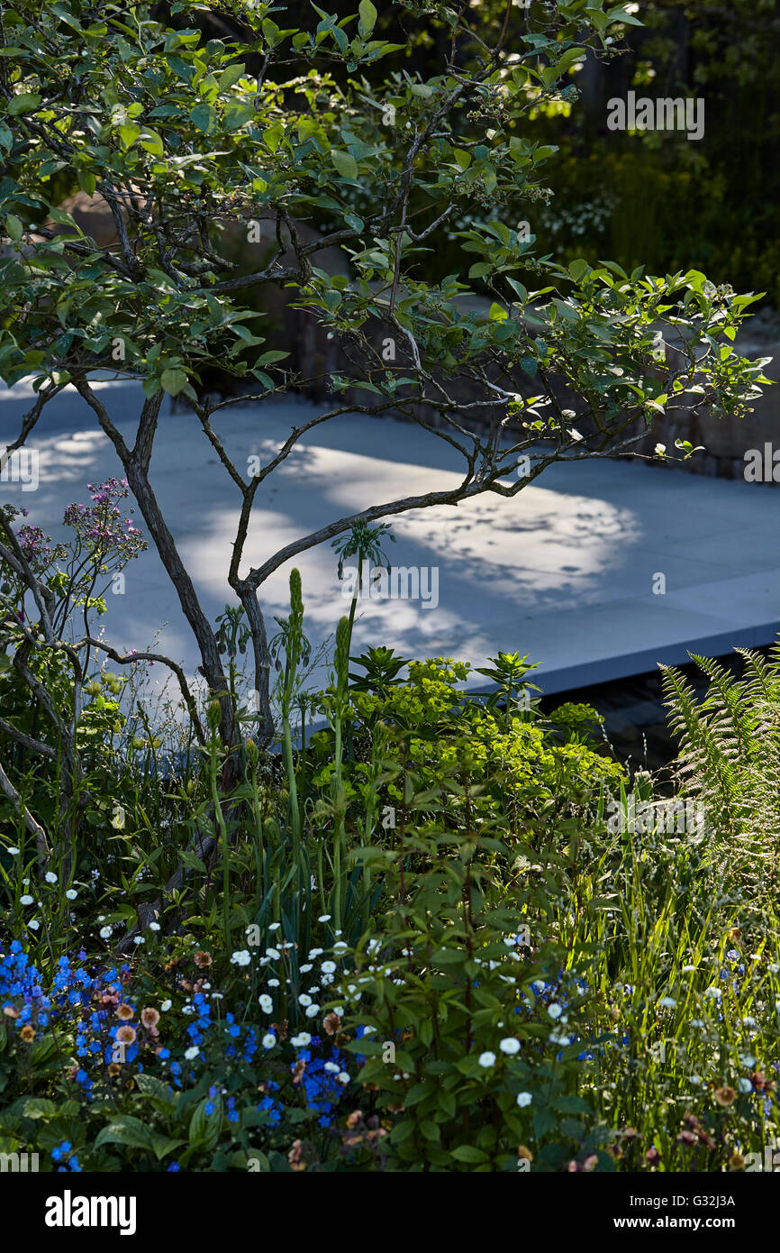 Chelsea Flower Show 2016 Stockfoto