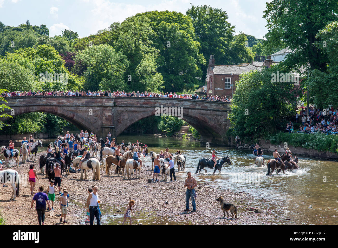 Appleby in Westmorland, Cumbria, UK. Kundenansturm die traditionellen Fußwaschung Pferde im Fluss Eden Appleby Horse ansehen Stockfoto