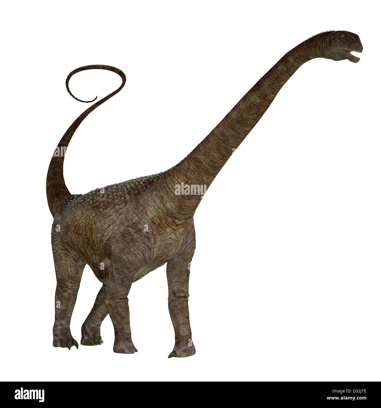 Malawisaurus war ein Pflanzenfresser Sauropod Dinosaurier, der in Afrika während der Kreidezeit lebte. Stockfoto