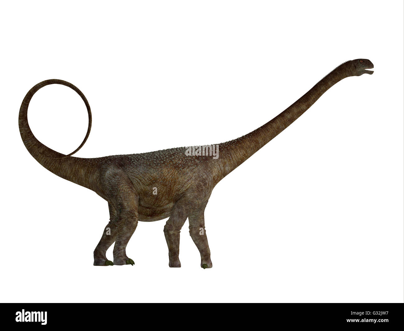 Malawisaurus war ein Pflanzenfresser Sauropod Dinosaurier, der in Afrika während der Kreidezeit lebte. Stockfoto