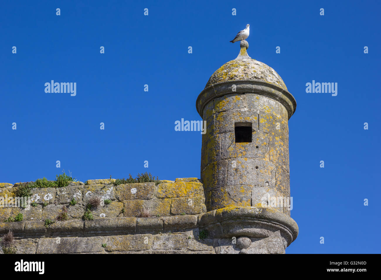 Wachturm der Festung in Viana Castelo, Portugal Stockfoto