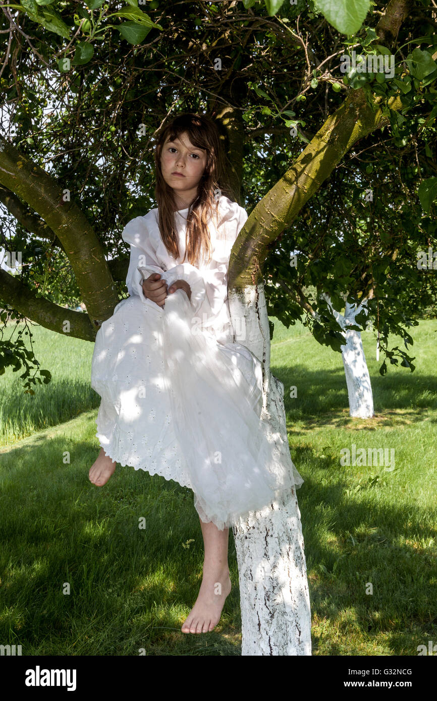 6 - 7 Jahre altes Mädchen im weißen Kleid sitzt in einer Baumkrone, Mädchen Spiele Braut Stockfoto