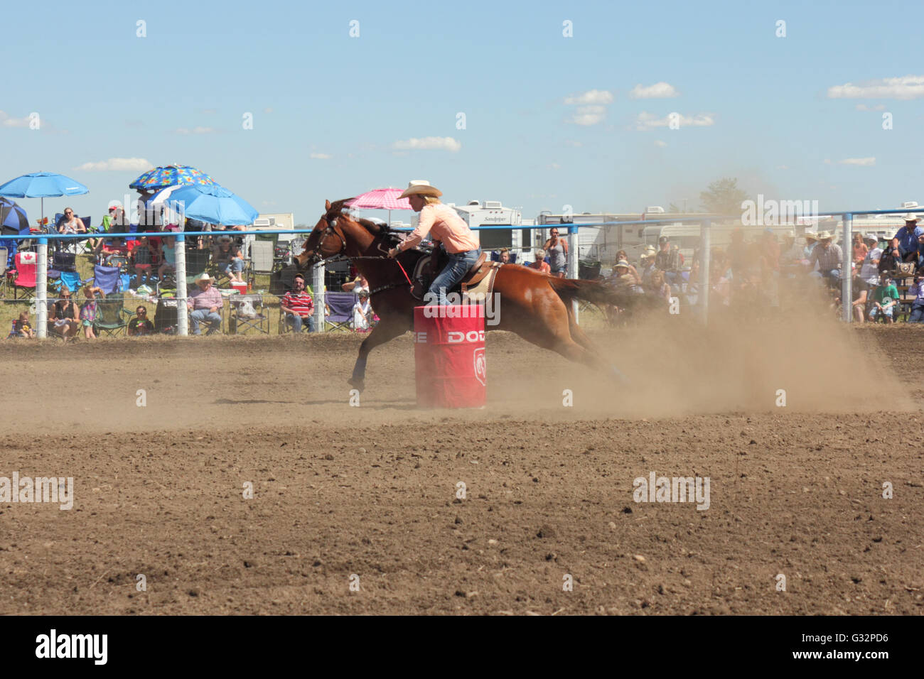 Faßlaufen in einem Rodeo in Alberta, Kanada Stockfoto