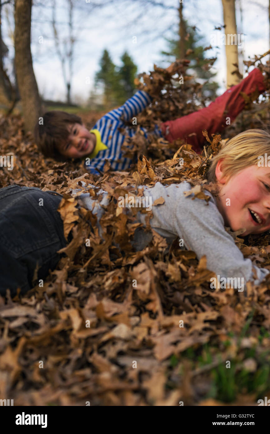 Zwei jungen wälzen im Herbstlaub Stockfoto