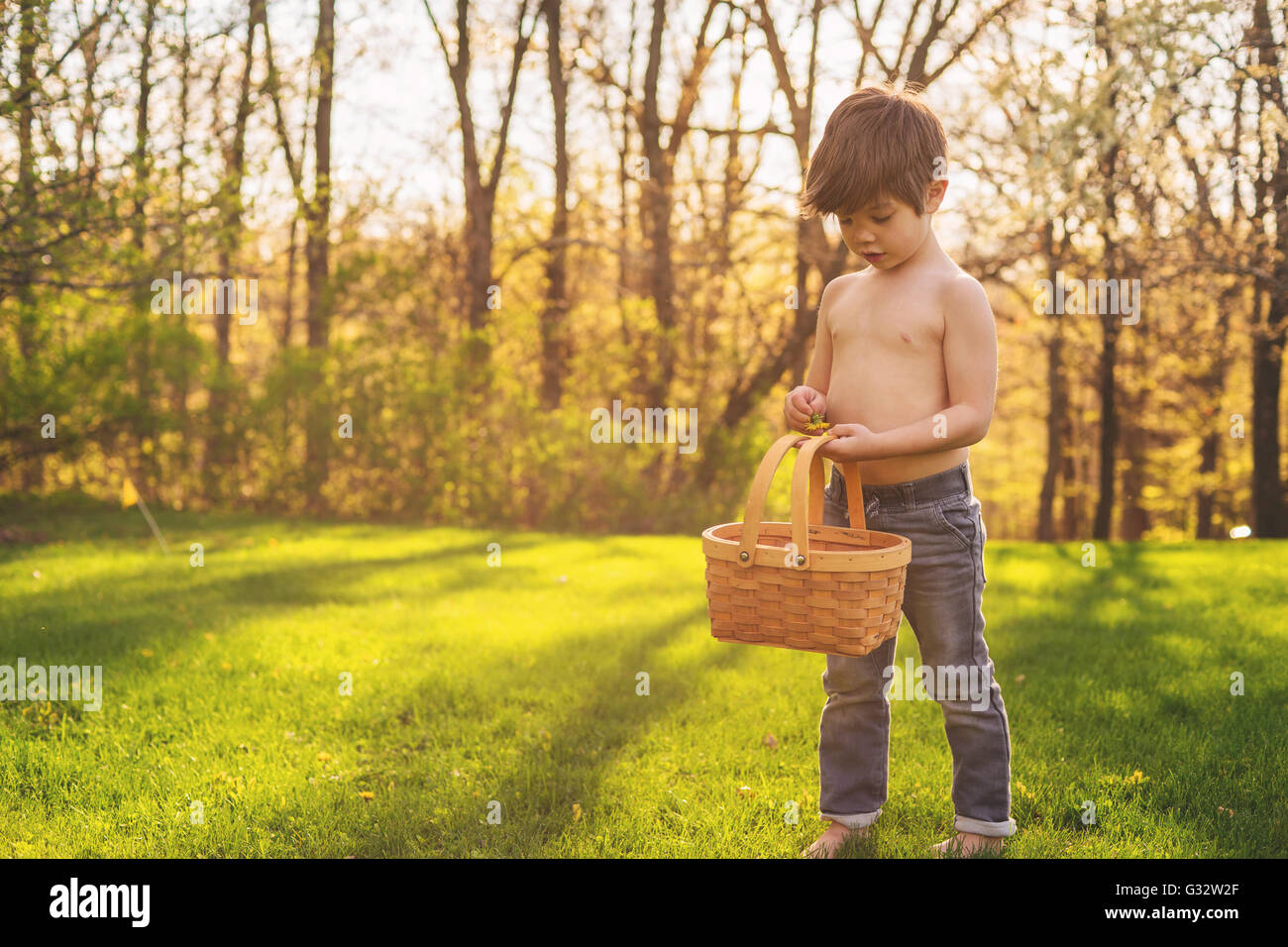 Junge mit Korb sammeln Blumen Stockfoto