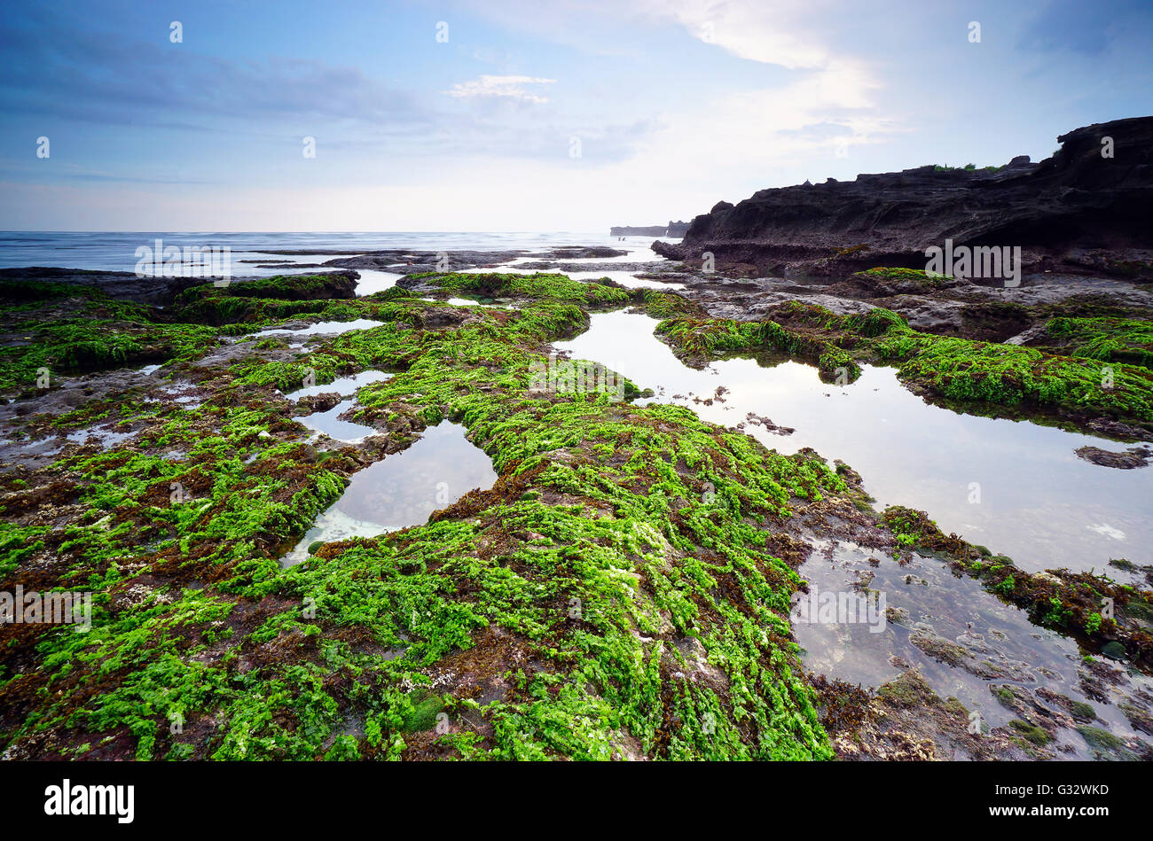 Moos bedeckte Felsen am Mengening Strand bei Ebbe, Bali, Indonesien Stockfoto