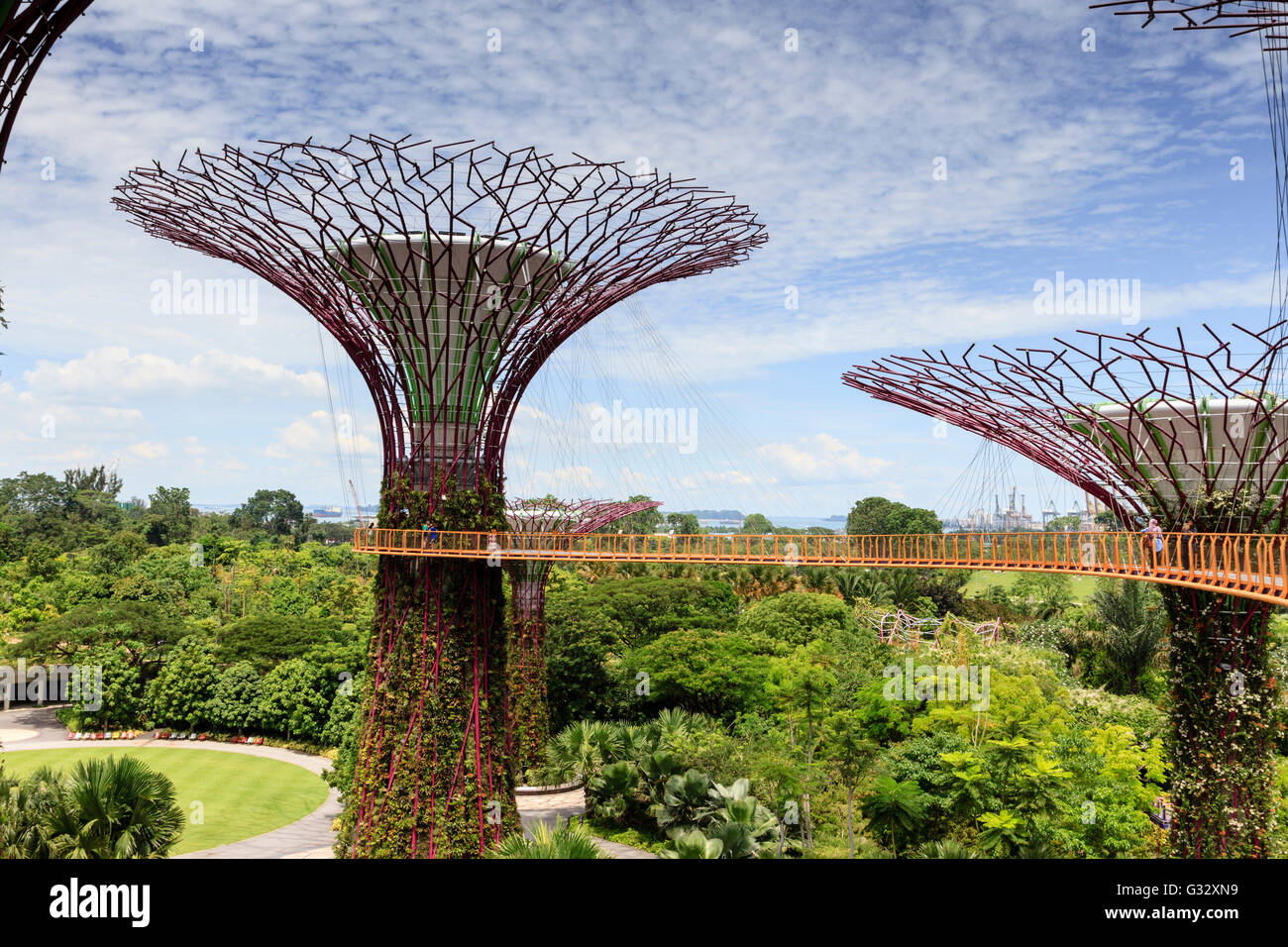 Supertree Grove und der Skyway in Gardens by the Bay, Singapur Stockfoto