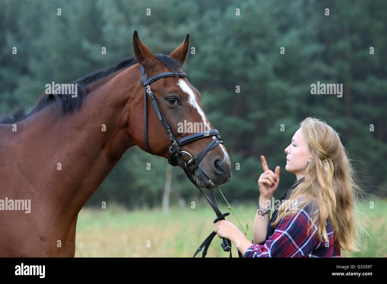 Brieselang, Deutschland, tadelt Mädchen ihr Pferd Stockfoto