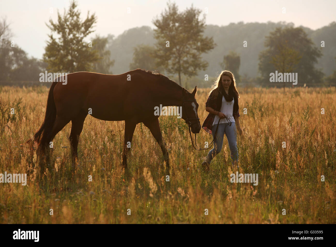 Brieselang, Deutschland, Mädchen gehen mit ihrem Pferd am Abend spazieren Wiese Stockfoto