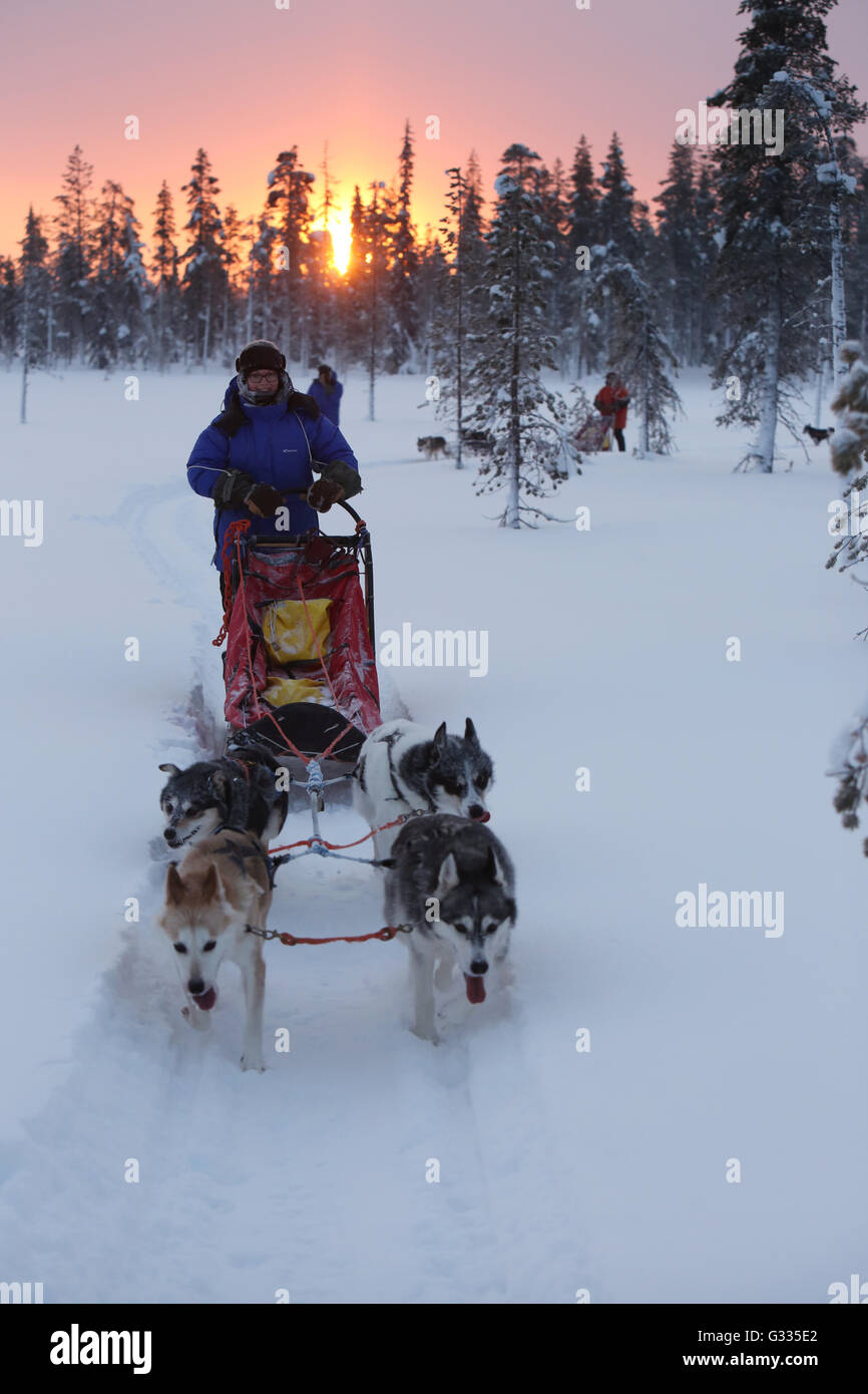 ? K skero, Finnland, Menschen machen einen Ausflug mit dem Hundeschlitten Stockfoto