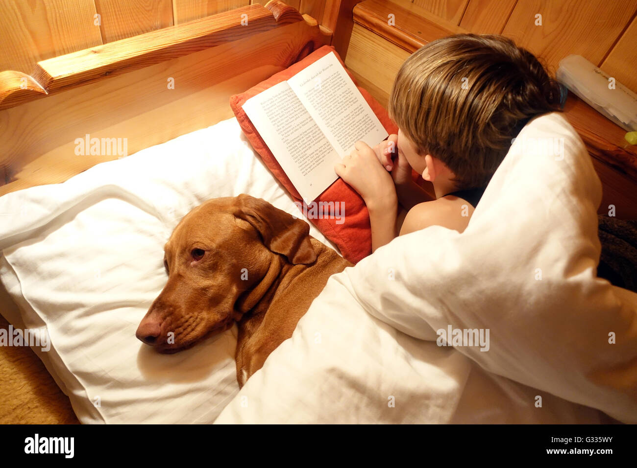 Startstelle, Österreich, ist junge mit seinem Hund im Bett und las ein Buch Stockfoto
