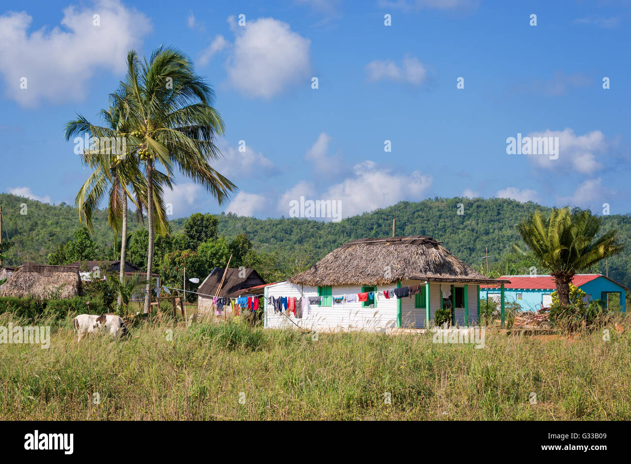 Reetgedeckten Haus auf dem Lande in der Nähe von Vinales, Kuba Stockfoto