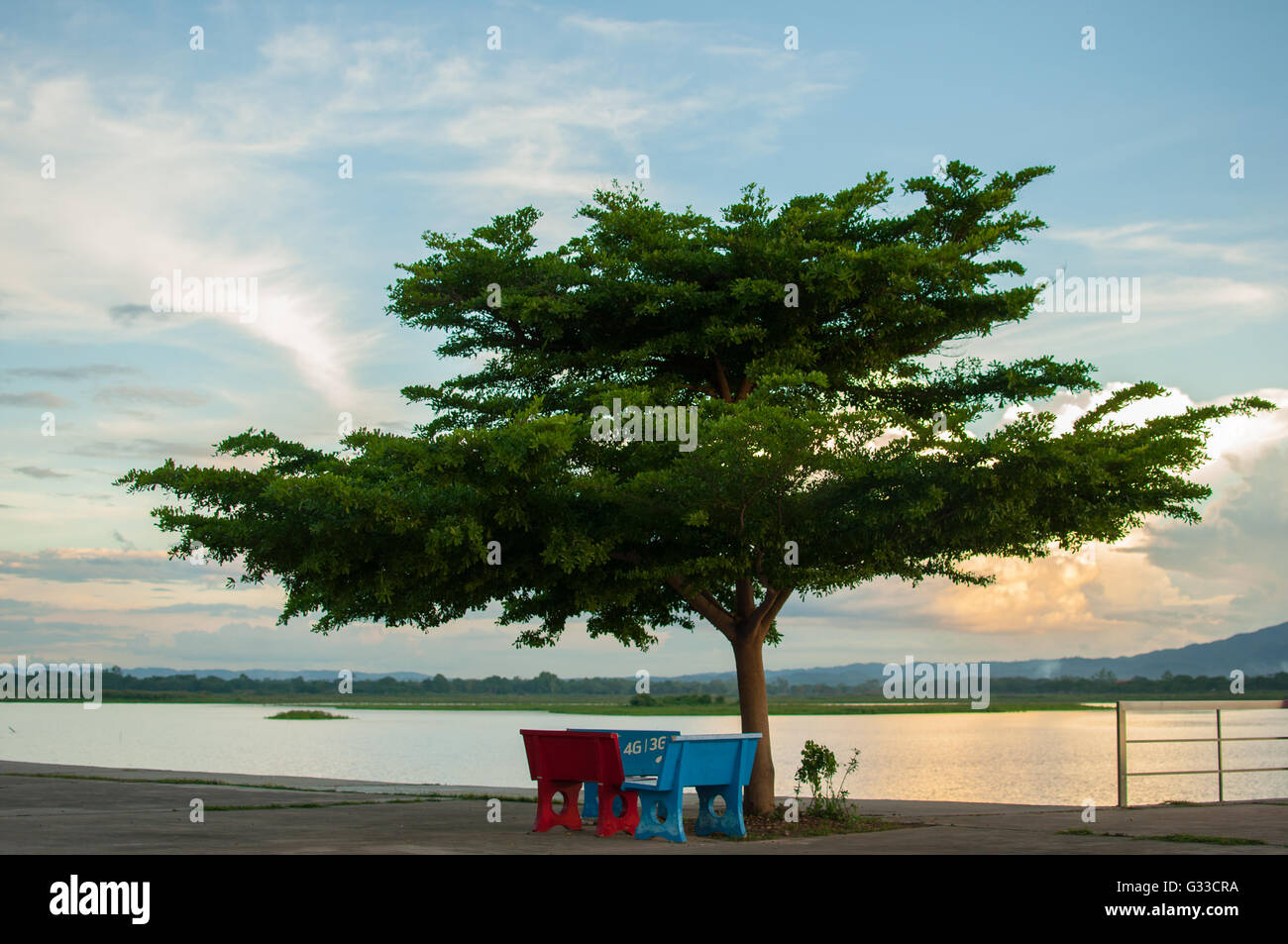 Einsamer Baum neben Kwan Phayao See Stockfoto