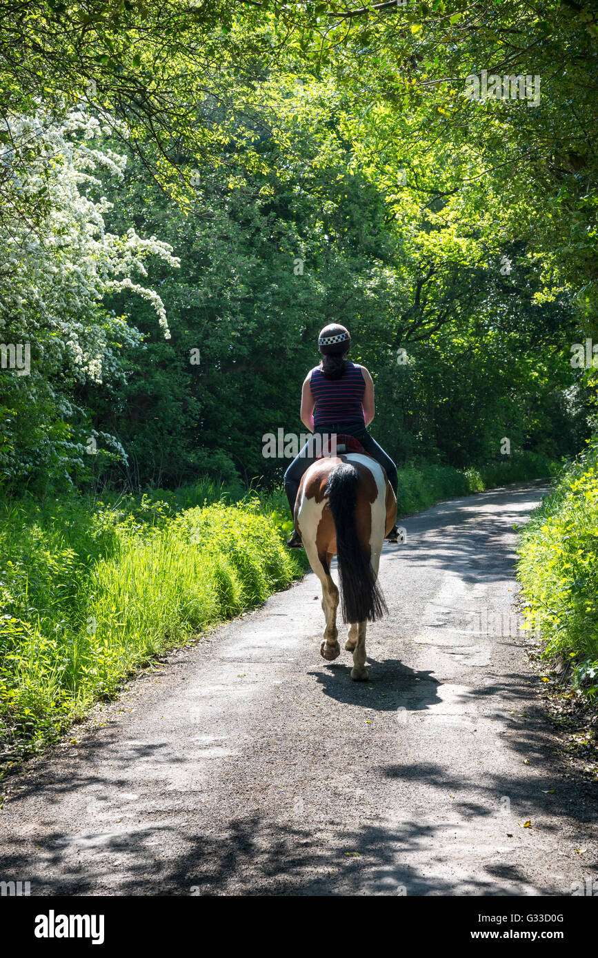 Reiter auf einem Feldweg in der englischen Landschaft. Einem sonnigen Sommertag. Stockfoto