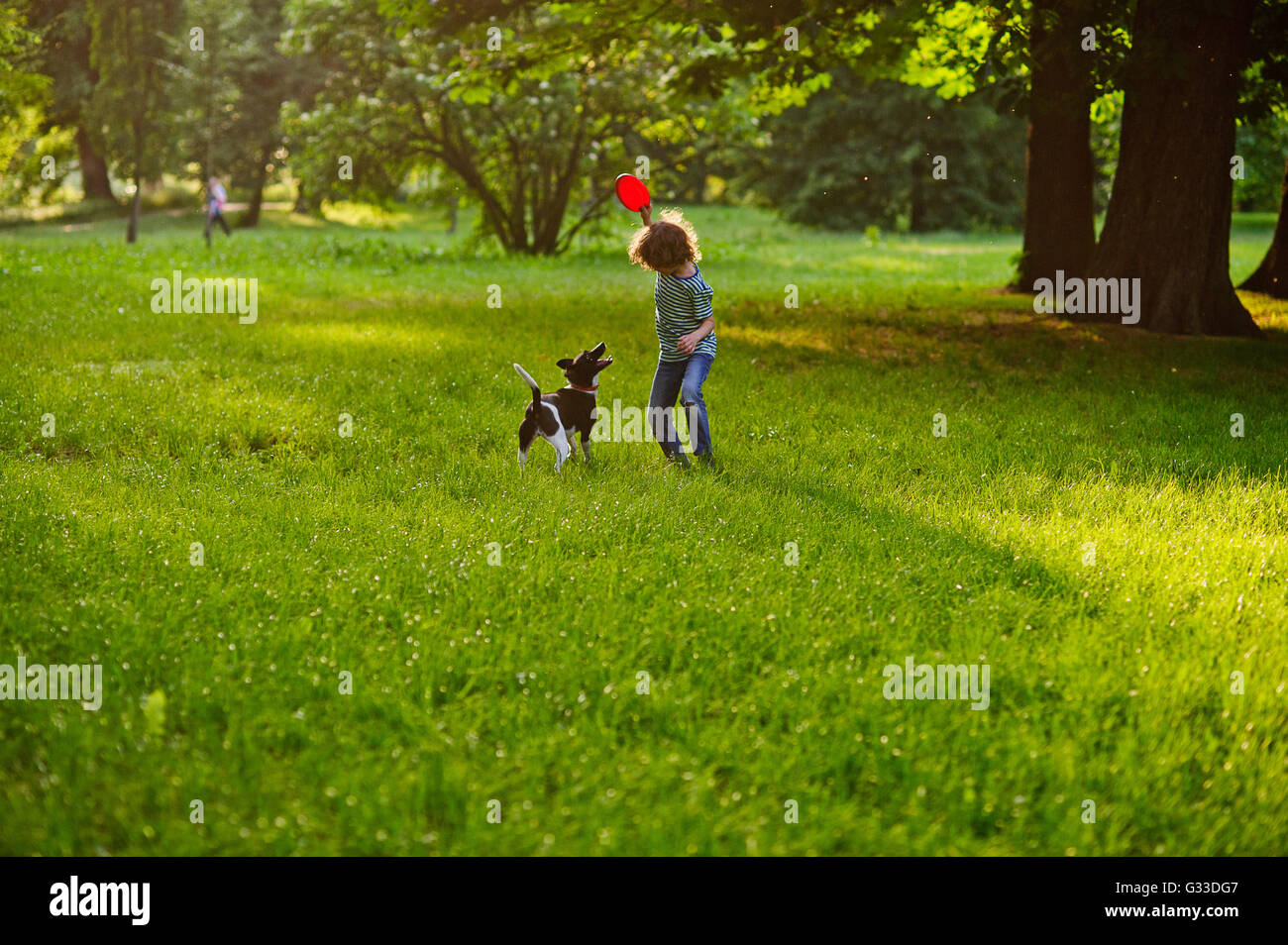 Die geschweiften Kerlchen trainiert Doggy auf dem Rasen im Park. Junge hält einen Frisbee. Sein Haustier schaut aufmerksam der Besitzer. Stockfoto