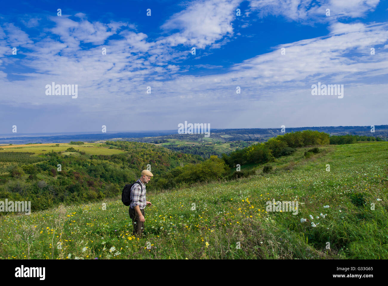 Senior Woman im Feld an einem sonnigen Tag Stockfoto