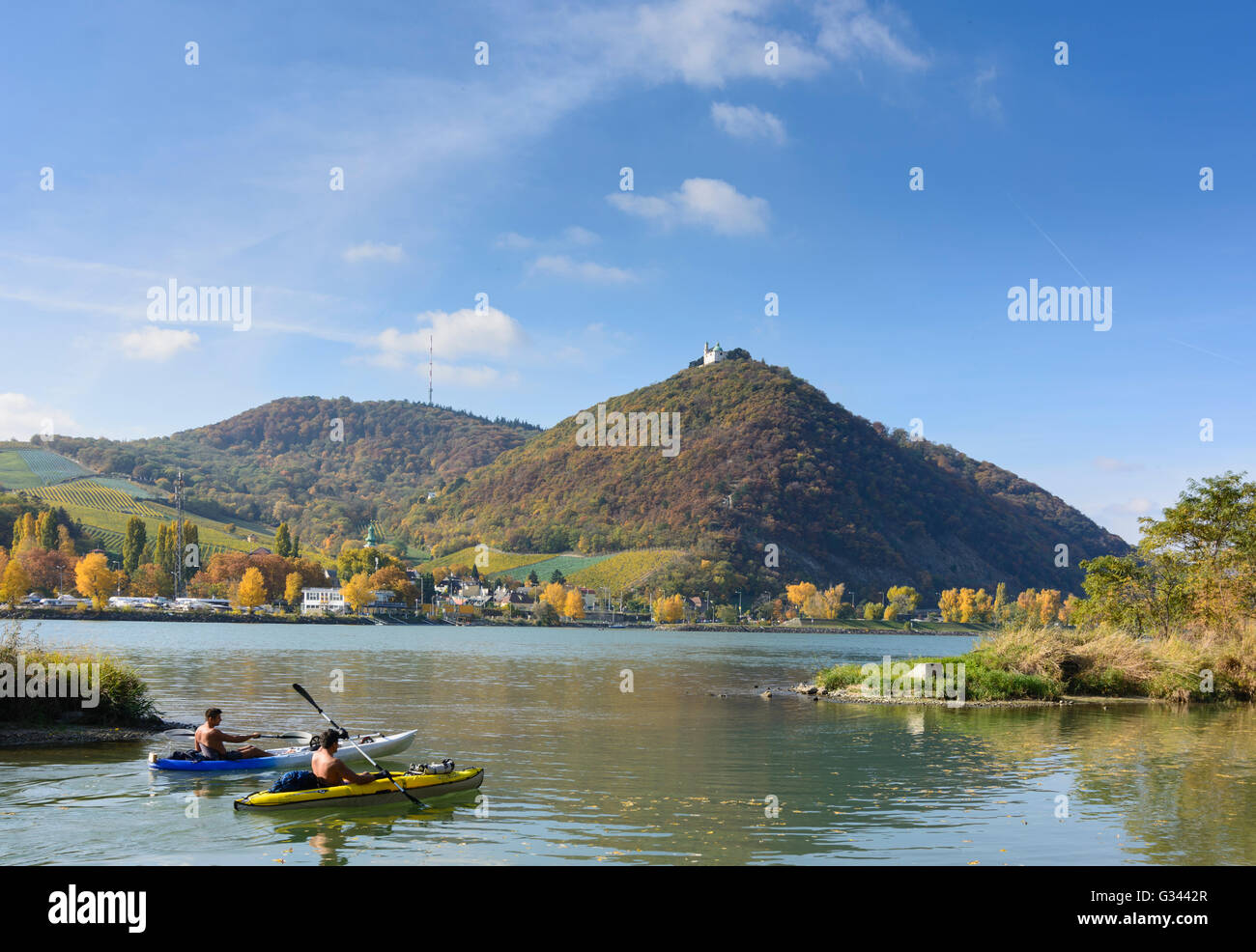 Donau, Kahlenberg mit Sender, Leopoldsberg mit St. Leopold, Kahlenbergerdorf, Kanuten, Österreich, Wien Stockfoto