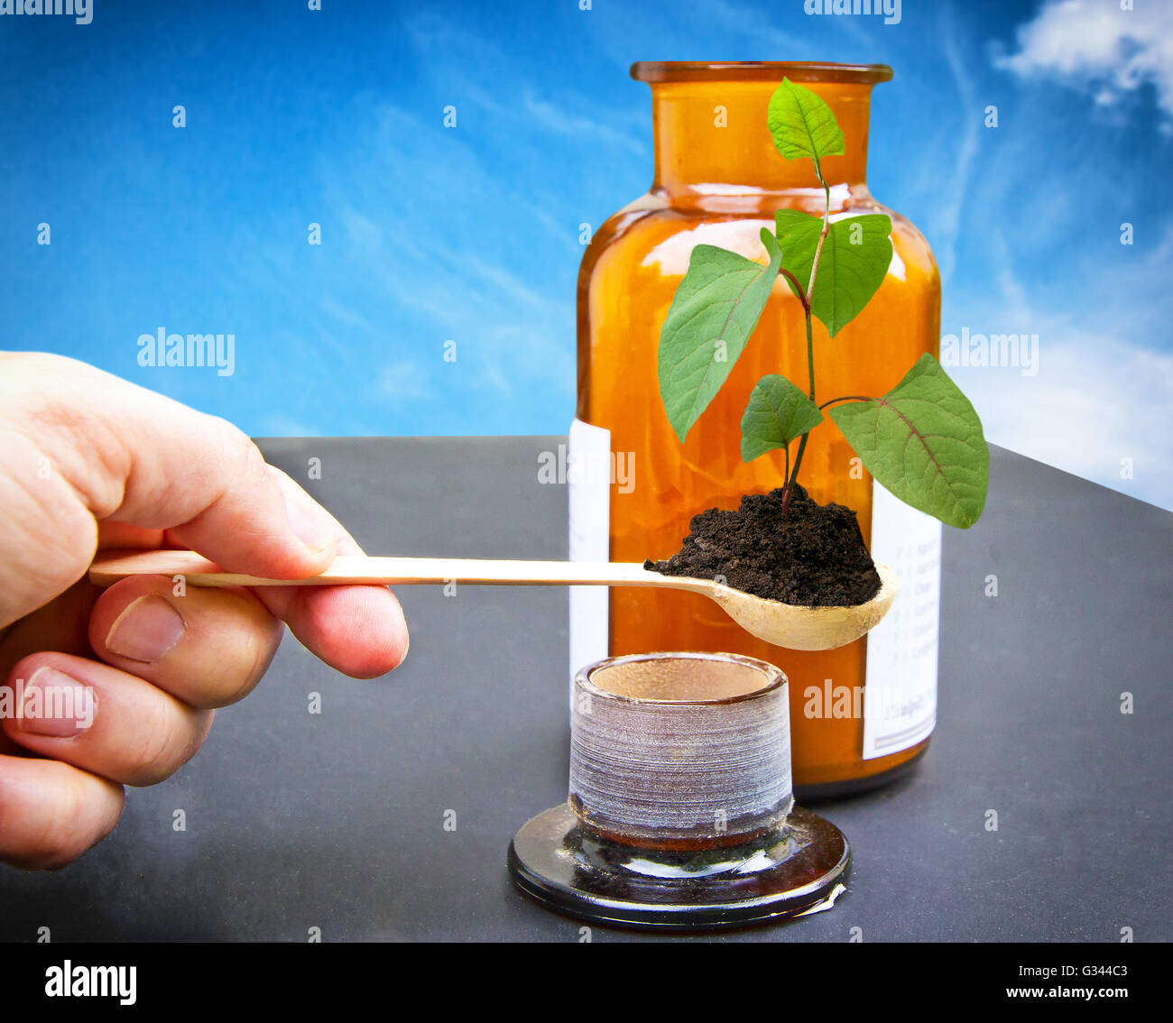 Natur in der hand Stockfoto