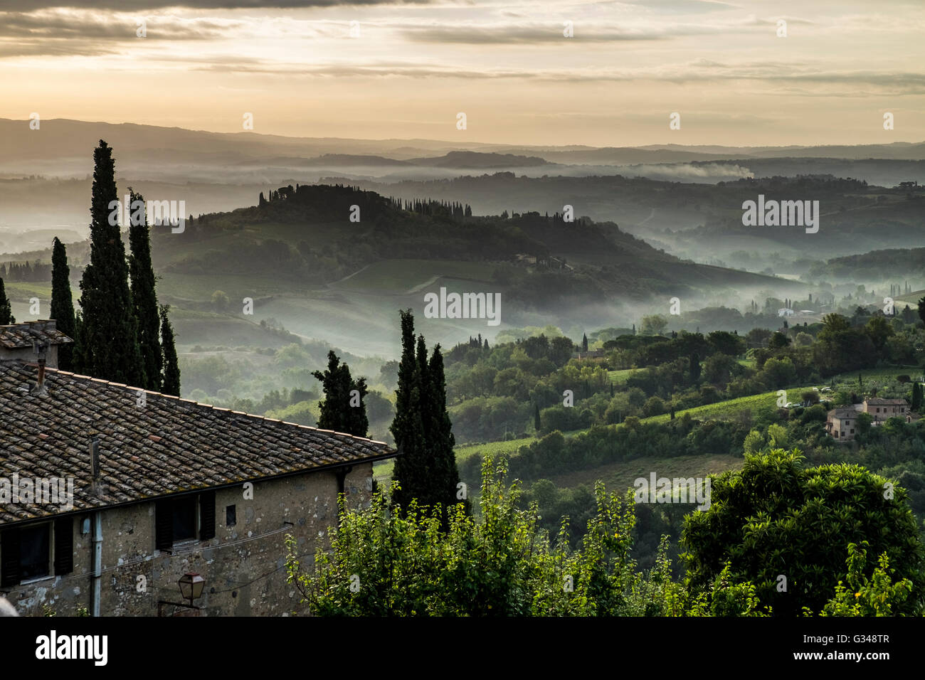 Panoramablick über die Weinberge und Felder in Gimignano, Toskana, Italien Stockfoto
