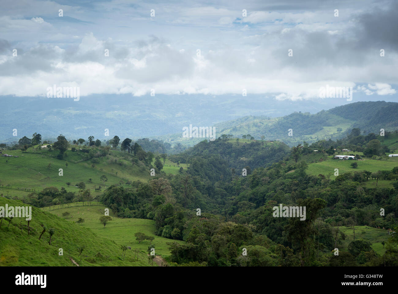 Üppig grüne Landschaft, Land Costa Rica Stockfoto