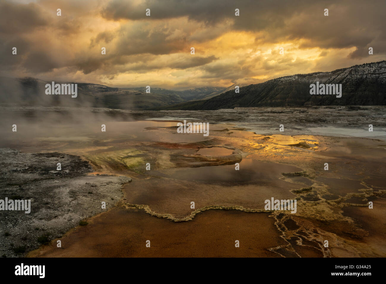 USA, Rockie Mountains in Wyoming, Yellowstone National Park, UNESCO, Welterbe, Mammoth Hot Springs Stockfoto