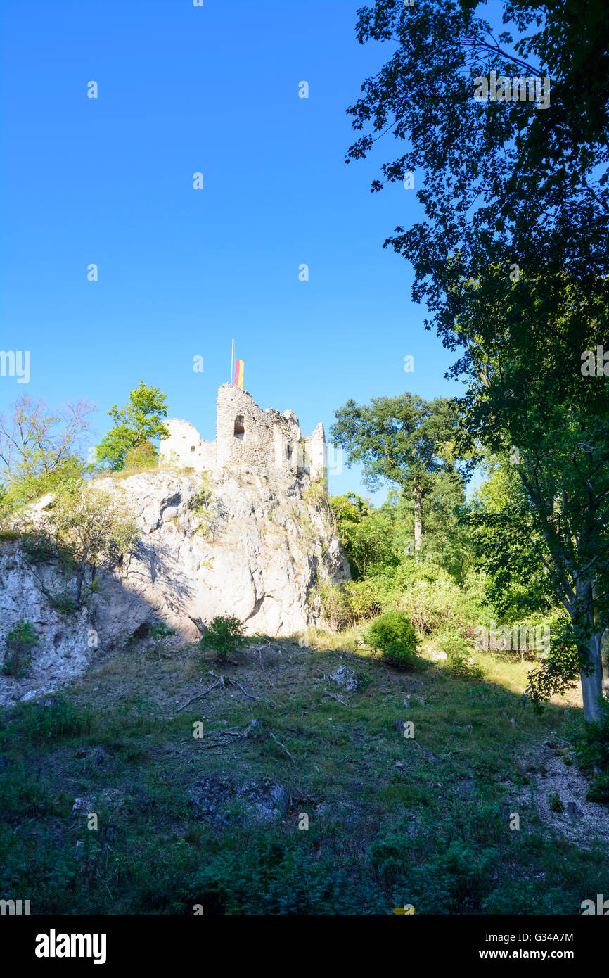 Naturpark Sparbach: Burg Ruine Johannstein, Österreich, Niederösterreich, Niederösterreich, Wienerwald, Hinterbrühl Stockfoto