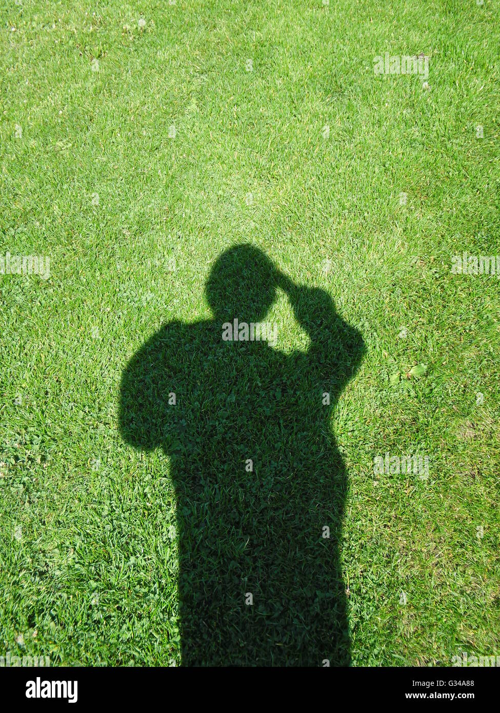 Schatten auf der Wiese Stockfoto