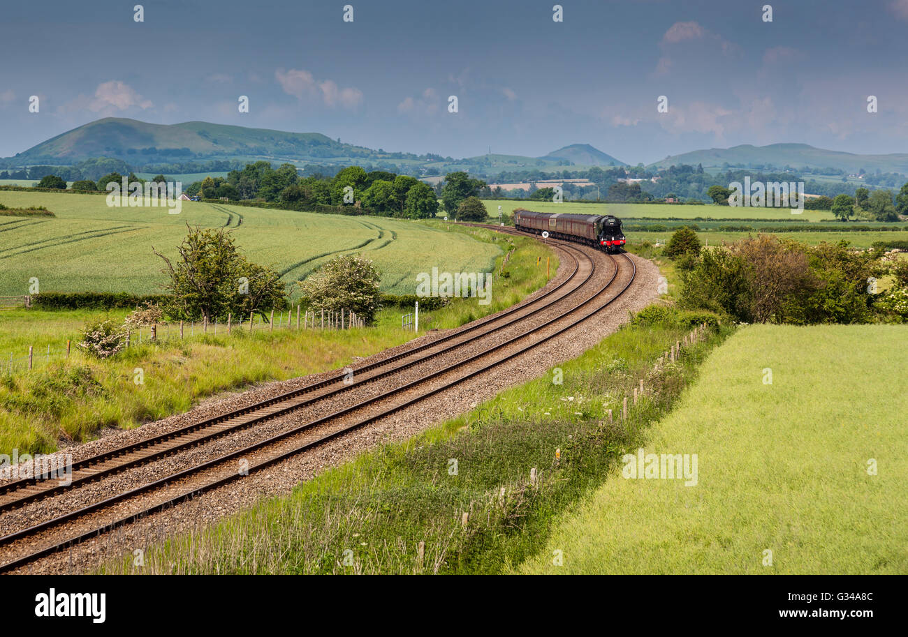 Flying Scotsman auf der Marken-Linie (Cardiff, Manchester) zwischen Craven Arms und Kirche Stretton, Shropshire Stockfoto