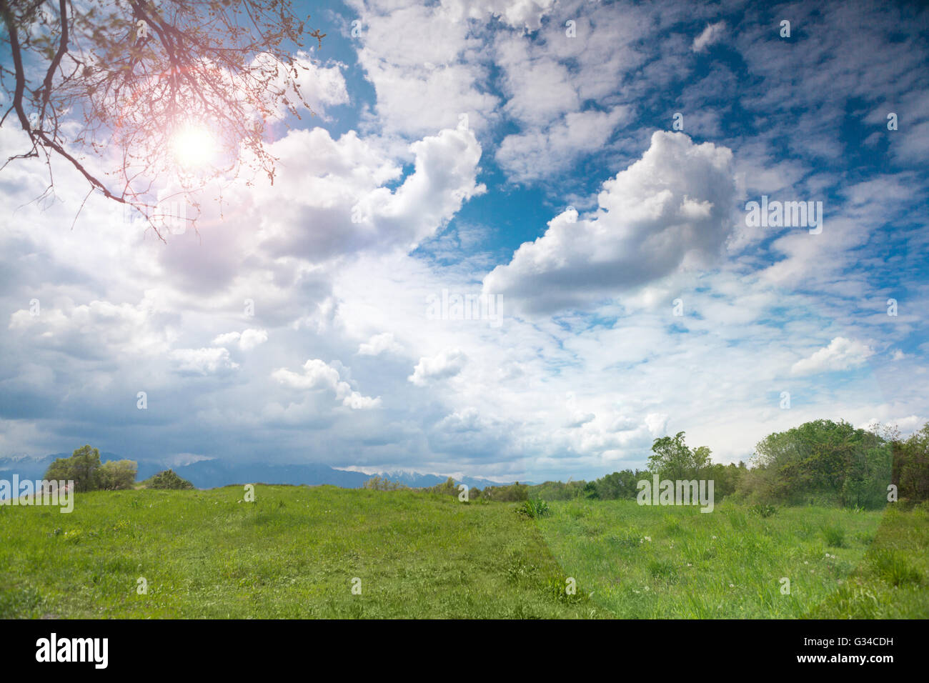 Natur Landschaft Sommerwiese Tag Sonne Stockfoto