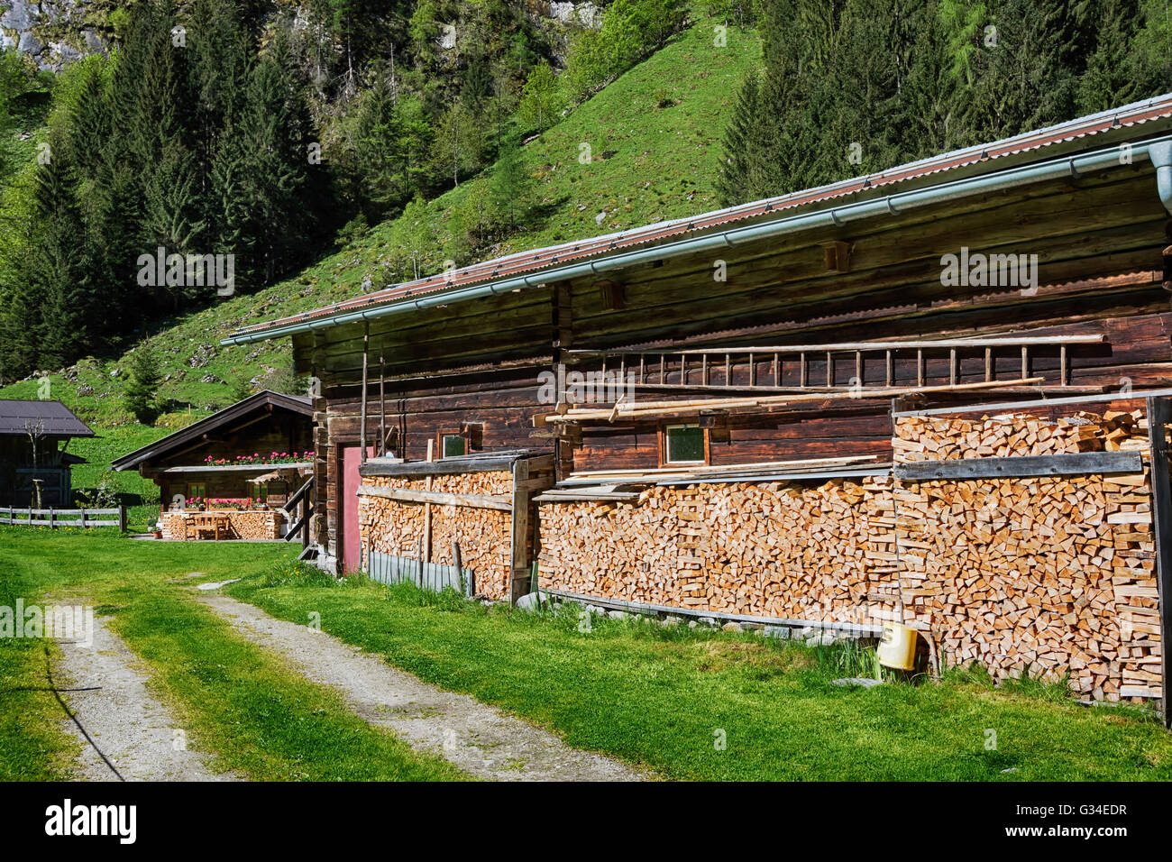 Rustikale Landwirtschaft Szene. Brennholz gestapelt, indem die Alphütte. Stockfoto
