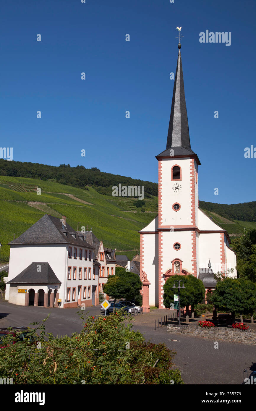 Pfarrkirche, umgeben von Weinbergen, Piesport, Rheinland-Pfalz, OeffentlicherGround Stockfoto