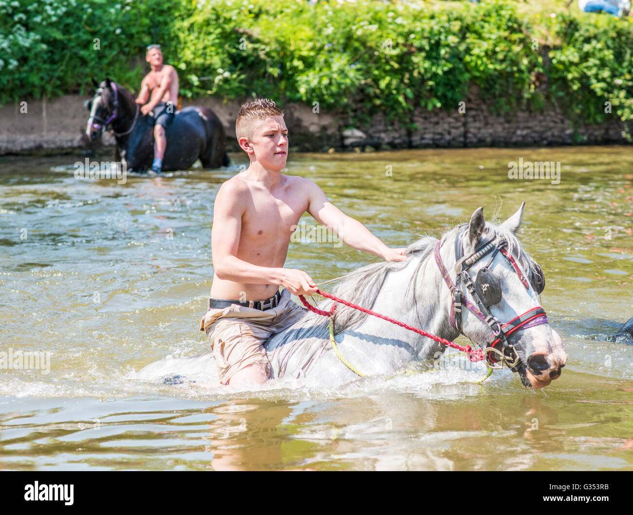 Reisende, die waschen, Reiten ihre Pferde in den Fluss Eden bei Appleby Horse Fair, Cumbria, UK. 2016 Stockfoto
