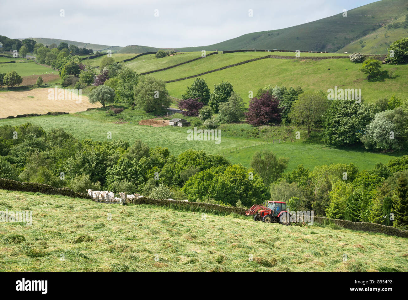 Ein roter Traktor drehen Rasen in einer Sommerwiese Heu in der englischen Landschaft zu trocknen. Stockfoto