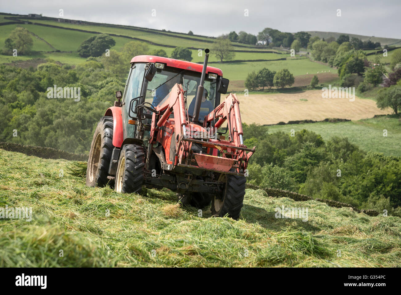 Ein roter Traktor drehen Rasen in einer Sommerwiese Heu in der englischen Landschaft zu trocknen.  Vater und Sohn im Inneren des Traktors. Stockfoto